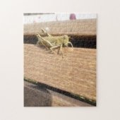 hallo Mr Grasshopper! Legpuzzel (Verticaal)