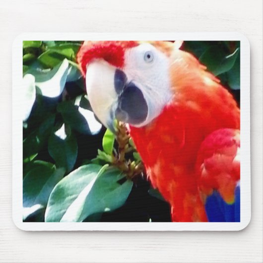 hallo_ muismat (Voorkant)