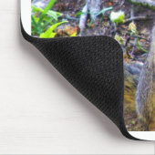 hallo_ muismat (Hoek)