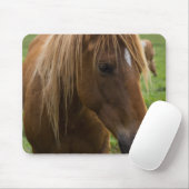 Hallo Muismat (Met muis)