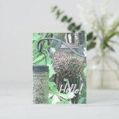 Hallo Nee! Gezegde Hi Schattige Bird op Vogelvoede Briefkaart (Staand voorkant)