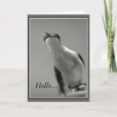 Hallo NL. Kaart (Voorkant)