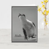 Hallo NL. Kaart (Gele Bloem)