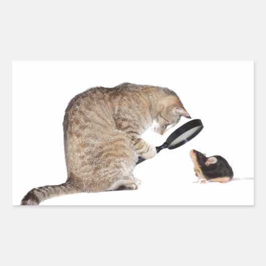 Hallo NL? Rechthoekige Sticker (Voorkant)