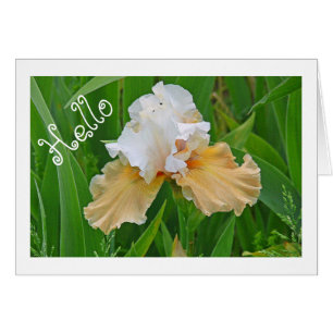 HALLO NOTECARD, PERZIK EN WITTE IRIS/
