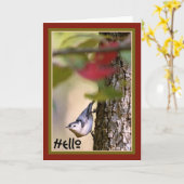 Hallo - Nuthatch Wenskaart Kaart (Gele Bloem)