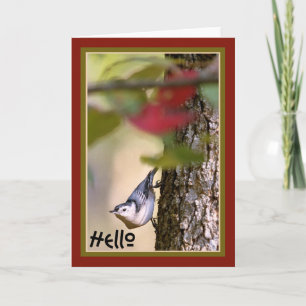 Hallo - Nuthatch Wenskaart Kaart