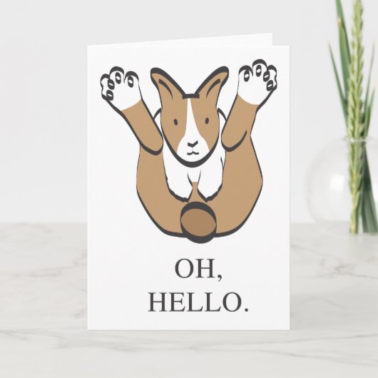 HALLO OH, KAART (Voorkant)