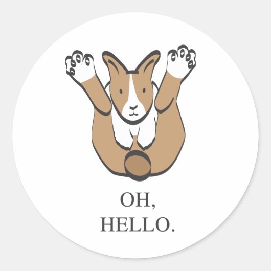 HALLO OH, RONDE STICKER (Voorkant)