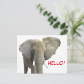 Hallo Olifant Safari Dier Briefkaart (Staand voorkant)