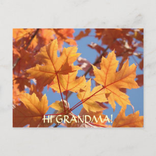 Hallo oma! POSTKAART Oranje Herfstbladeren Bomen