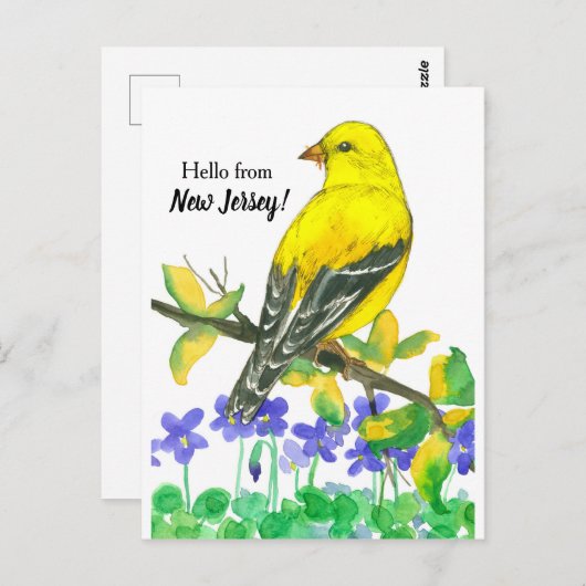 Hallo Oostelijke goudvink vogel Briefkaart (Voorkant / Achterkant)