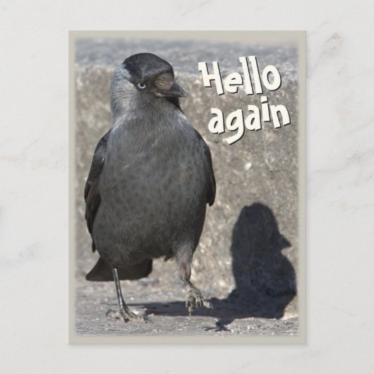 hallo opnieuw CC0518 Jackdaw Briefkaart (Voorkant)