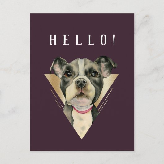 hallo Paarse Gold Pitbull Puppy Waterverf Briefkaart (Voorkant)