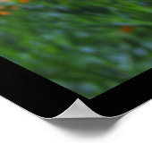 hallo Papavers Grote Posters en Prints (Hoek)