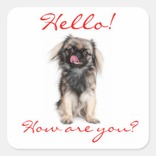 Hallo Pekingese Puppy Hond Groet Sticker