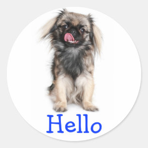 Hallo Pekingese Puppy Hond Groet Sticker