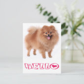 Hallo Pommerse puppy hond Blank Post Kaart (Staand voorkant)