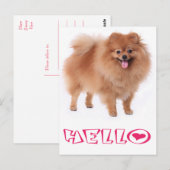 Hallo Pommerse puppy hond Blank Post Kaart (Voorkant / Achterkant)