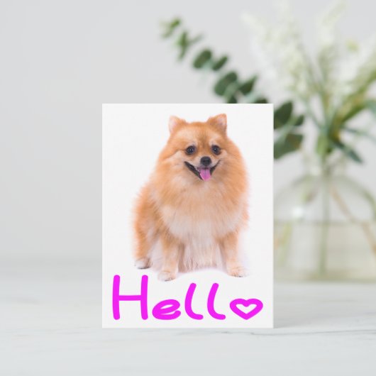 Hallo Pommerse puppy hond Blank Post Kaart (Staand voorkant)
