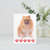 Hallo Pommerse puppy hond Blank Post Kaart (Staand voorkant)