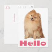 Hallo Pommerse puppy hond Blank Post Kaart (Voorkant / Achterkant)