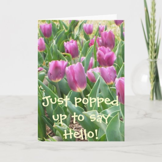 HALLO POPPEN OM TE ZEGGEN! KAART (Voorkant)