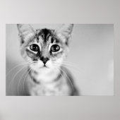 hallo poster (Voorkant)
