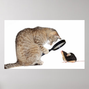 hallo? poster