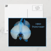 hallo Postkruist Briefkaart (Voorkant / Achterkant)