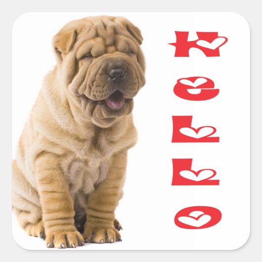 Hallo pShar Pei Puppy Dog Sticker / zeehonden (Voorkant)