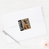 Hallo Pug Puppies Hond Sticker / Label (Envelop)