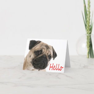 Hallo Pug Puppy Dog Blank Note Kaart