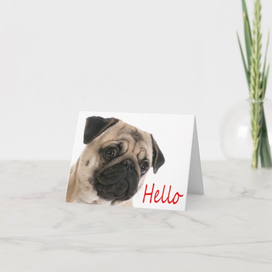 Hallo Pug Puppy Dog Blank Note Kaart (Voorkant)