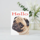 hallo Pug Puppy Dog Greeting Briefkaart (Staand voorkant)