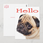 hallo Pug Puppy Dog Greeting Briefkaart (Voorkant / Achterkant)
