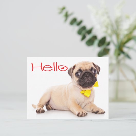 hallo Pug Puppy Dog Greeting Briefkaart (Staand voorkant)