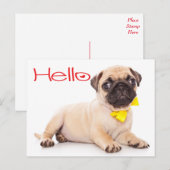 hallo Pug Puppy Dog Greeting Briefkaart (Voorkant / Achterkant)
