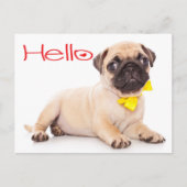 hallo Pug Puppy Dog Greeting Briefkaart (Voorkant)