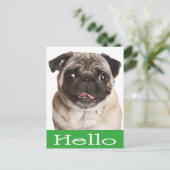 hallo Pug Puppy Dog Greeting Briefkaart (Staand voorkant)