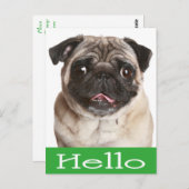 hallo Pug Puppy Dog Greeting Briefkaart (Voorkant / Achterkant)