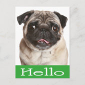 hallo Pug Puppy Dog Greeting Briefkaart (Voorkant)