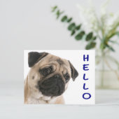 hallo Pug Puppy Dog Greeting Briefkaart (Staand voorkant)