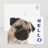 hallo Pug Puppy Dog Greeting Briefkaart (Voorkant / Achterkant)