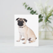 hallo Pug Puppy Dog Greeting Briefkaart (Staand voorkant)