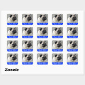Hallo Pug Puppy Dog Sticker / Label (Vel)