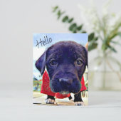 Hallo Puppy Briefkaart (Staand voorkant)