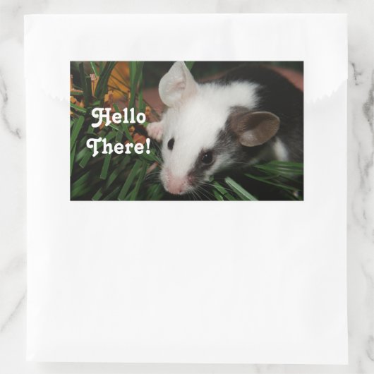 hallo rechthoekige sticker (Tas)