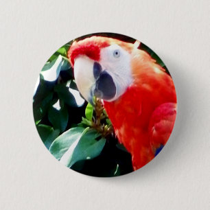 hallo_ ronde button 5,7 cm