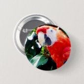 hallo_ ronde button 5,7 cm (Voorkant /achterkant)